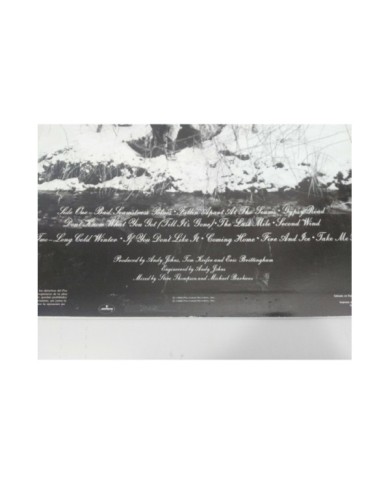 Cinderella Long Cold Winter Spain Edition 1988 - LP 12" Vinilo VG/VG 4T