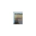Stubbleman Mountains and Plains 2019 - LP 12" Vinilo Nuevo - 4T