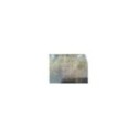 Stubbleman Mountains and Plains 2019 - LP 12" Vinilo Nuevo - 4T