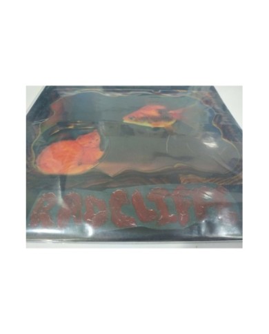 Spencer Radcliffe Looking In - 2015 LP Vinilo 12" Nuevo - 4T