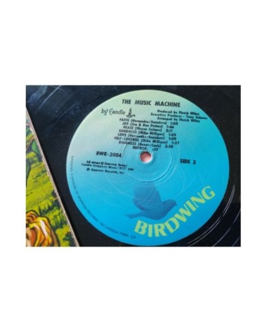 The Music Machine Musical Adventure Teaching Fruit 1977 - LP Vinilo 12" VG/G+