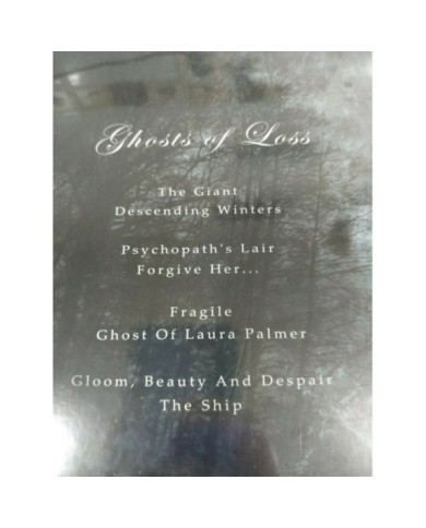 Swallow the Sun Ghosts of Loss 2018 Spain Edition - 2 x LP Vinilo 12" NUEVO - 4T