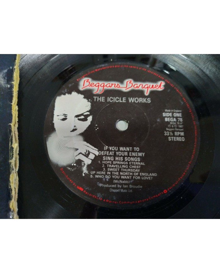 The Icicle Works If You Want to Defeat Your Enemy 1987 LP 12" Vinilo G+/G+ - 4T