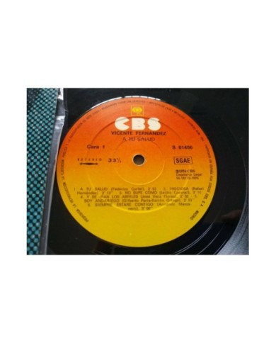 Vicente Fernandez A Tu Salud CBS 1976 Spain First Press - LP 12" Vinilo VG/VG