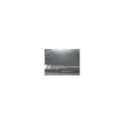 Swallow The Sun Moonflowers 2021 Century - 2 x LP + CD Vinilo 12" Nuevo 2T