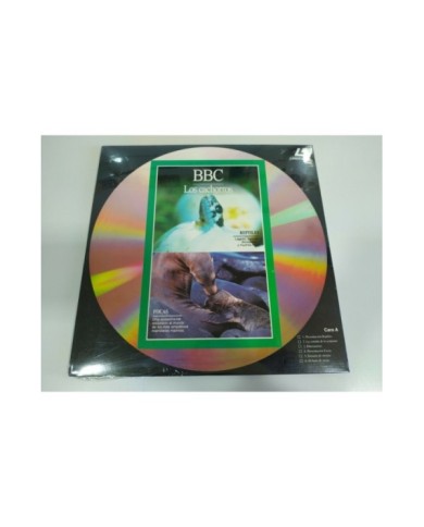 BBC Los Cachorros Reptiles Focas Insectos Elefantes - LASERDISC LD Nuevo 2T BBC Los Cachorros Reptiles Focas Insectos Elefantes - LASERDISC LD Nuevo 2T