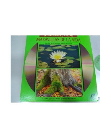 LA MALDICION DE LA FLOR DORADA - 2 DVD SPANISH EDITION RARE- STEELBOOK - AM