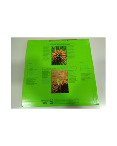 LA MALDICION DE LA FLOR DORADA - 2 DVD SPANISH EDITION RARE- STEELBOOK - AM