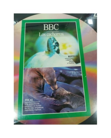 BBC Los Cachorros Reptiles Focas Insectos Elefantes - LASERDISC LD Nuevo 2T BBC Los Cachorros Reptiles Focas Insectos Elefantes - LASERDISC LD Nuevo 2T