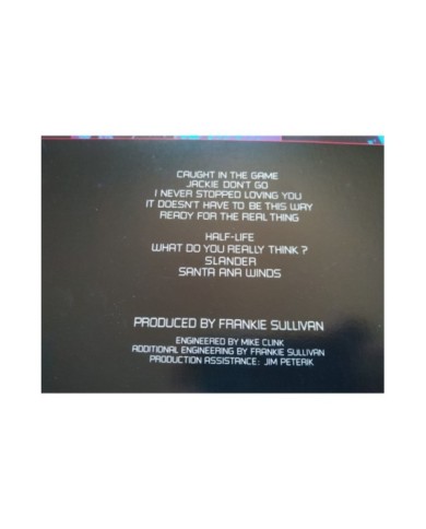 Survivor Caught In The Game PZ38791 1983 First Press LP Vinilo 12" VG/VG Mg Am