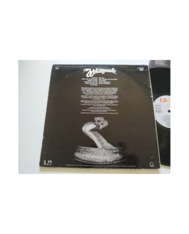 Whitesnake Ready And Willing 1980 Spain First Press - LP Vinilo 12" VG/VG Mg