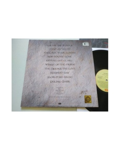 Whitesnake Slip Of The Tongue 1989 Spain First Press - LP Vinilo 12" VG/VG Mg Am