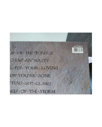 Whitesnake Slip Of The Tongue 1989 Spain First Press - LP Vinilo 12" VG/VG Mg Am