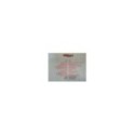 Tequila Sus Mejores Canciones Grandes Exitos 2022 - 2 x LP Vinilo 12" Nuevo 3T