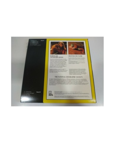National Geographic En Busca de Grandes Monos Criaturas Namib LASERDISC LD 2T National Geographic En Busca de Grandes Monos Criaturas Namib LASERDISC LD 2T