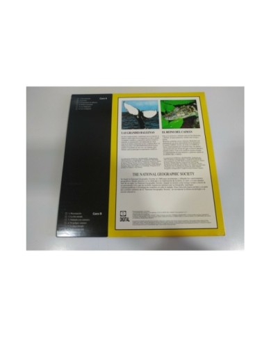 National Geographic Las grandes Ballenas Reino del Caiman - LASERDISC LD 2T National Geographic Las grandes Ballenas Reino del Caiman - LASERDISC LD 2T