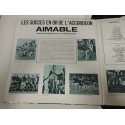 Aimable Les Succes En Or de Le Accordeon Vogue CLVLX524 2 X LP 12" Vinilo VG/VG