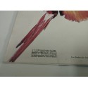 Mecano Descanso Dominical 1988 Ariola 5C 209192 - LP Vinilo 12" G+/G+