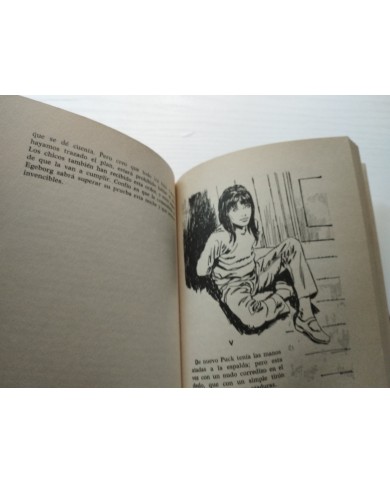 PUCK Tiene Razon Lisbeth Werner 1988 Ediciones Toray - LIBRO Español Am