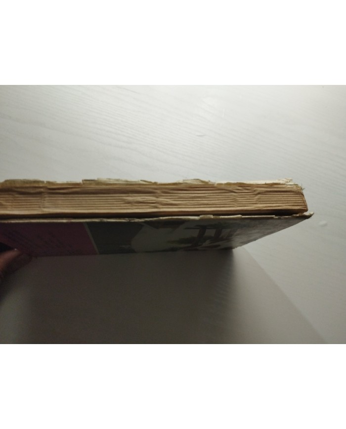 PUCK ¡ En Guardia ! Lisbeth Werner 1985 Ediciones Toray - LIBRO Español Am