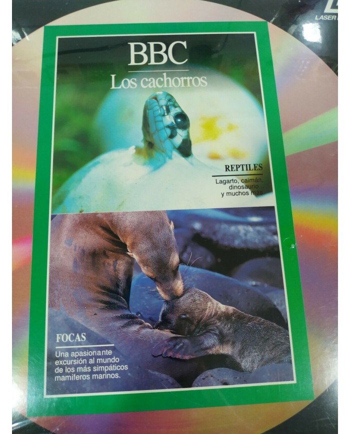 BBC Los Cachorros Reptiles Focas Insectos Elefantes - LASERDISC LD Nuevo 2T BBC Los Cachorros Reptiles Focas Insectos Elefantes - LASERDISC LD Nuevo 2T