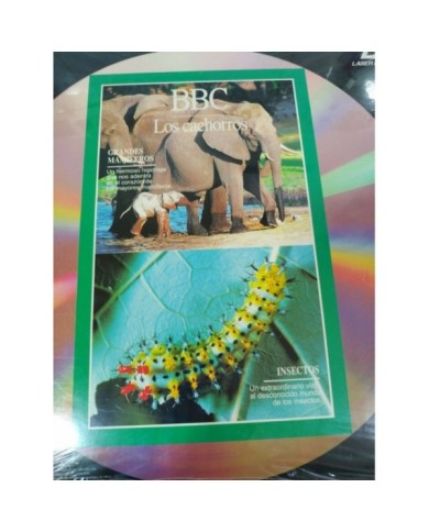 BBC Los Cachorros Reptiles Focas Insectos Elefantes - LASERDISC LD Nuevo 2T BBC Los Cachorros Reptiles Focas Insectos Elefantes - LASERDISC LD Nuevo 2T
