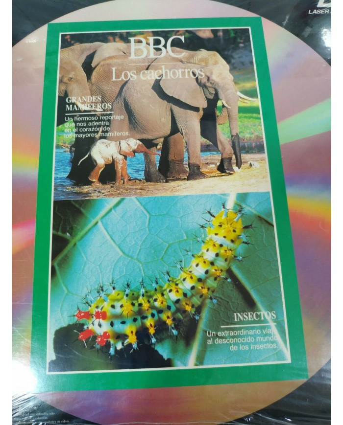 BBC Los Cachorros Reptiles Focas Insectos Elefantes - LASERDISC LD Nuevo 2T BBC Los Cachorros Reptiles Focas Insectos Elefantes - LASERDISC LD Nuevo 2T