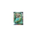 LA MALDICION DE LA FLOR DORADA - 2 DVD SPANISH EDITION RARE- STEELBOOK - AM