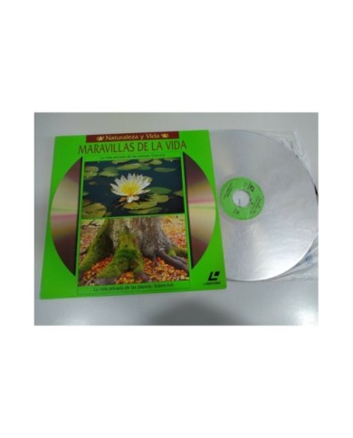 COSTUME DRAMAS - ELISABETH - SENSE & SENSIBILITY AND 3 MORE 5 DVD STEELBOOK - AM