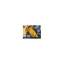 LA MALDICION DE LA FLOR DORADA - 2 DVD SPANISH EDITION RARE- STEELBOOK - AM